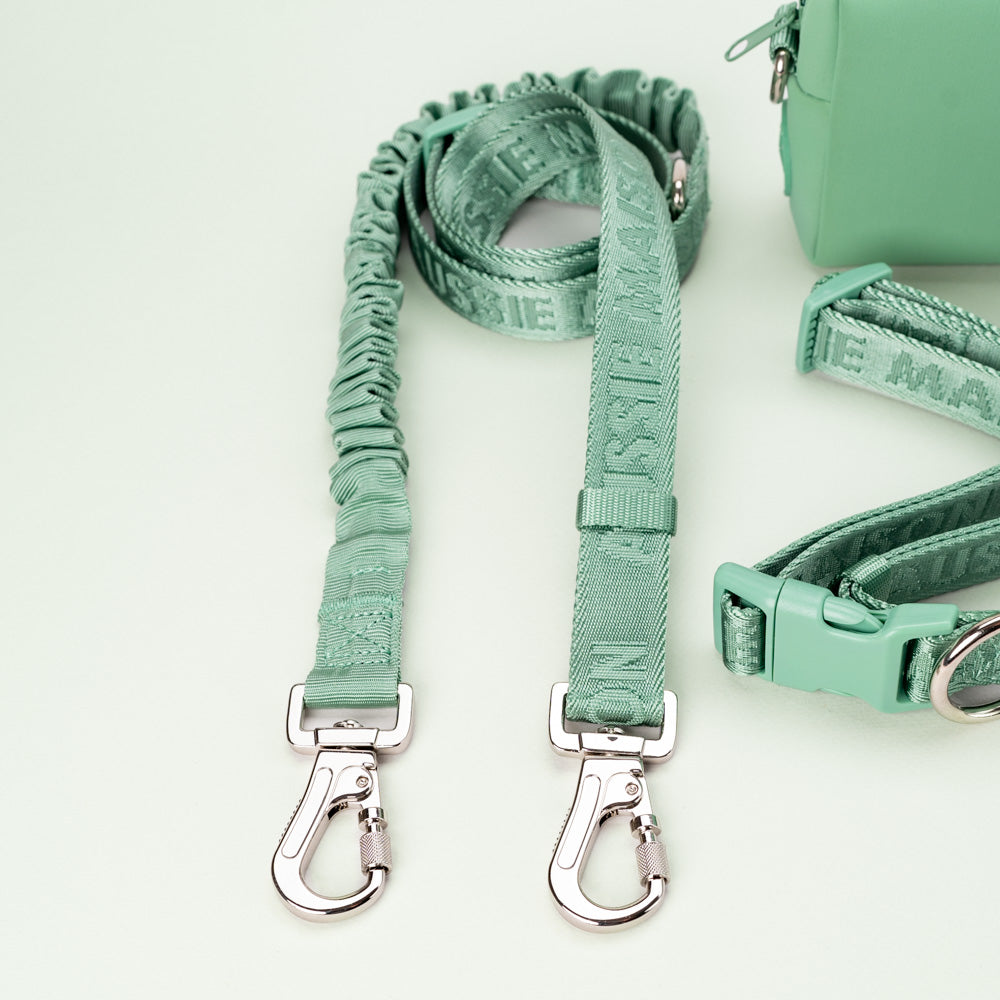 Hands-free set Aussie Maison - Sage Green – Sage Green- Adventure vodítko s amortizérem