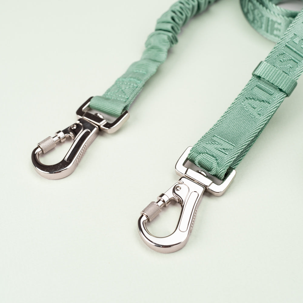Sage Green- Adventure vodítko s amortizérem