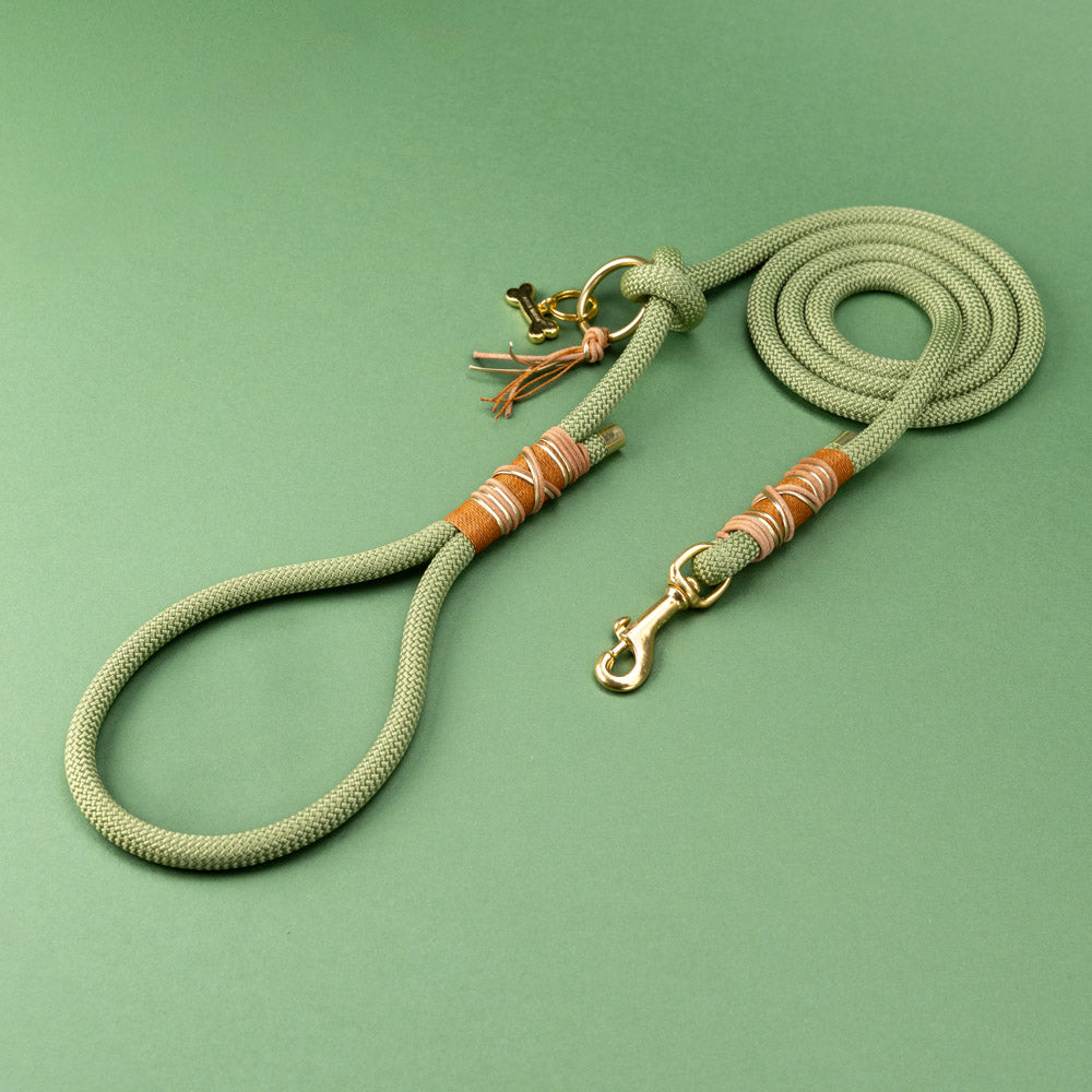 Guacamole dog leash