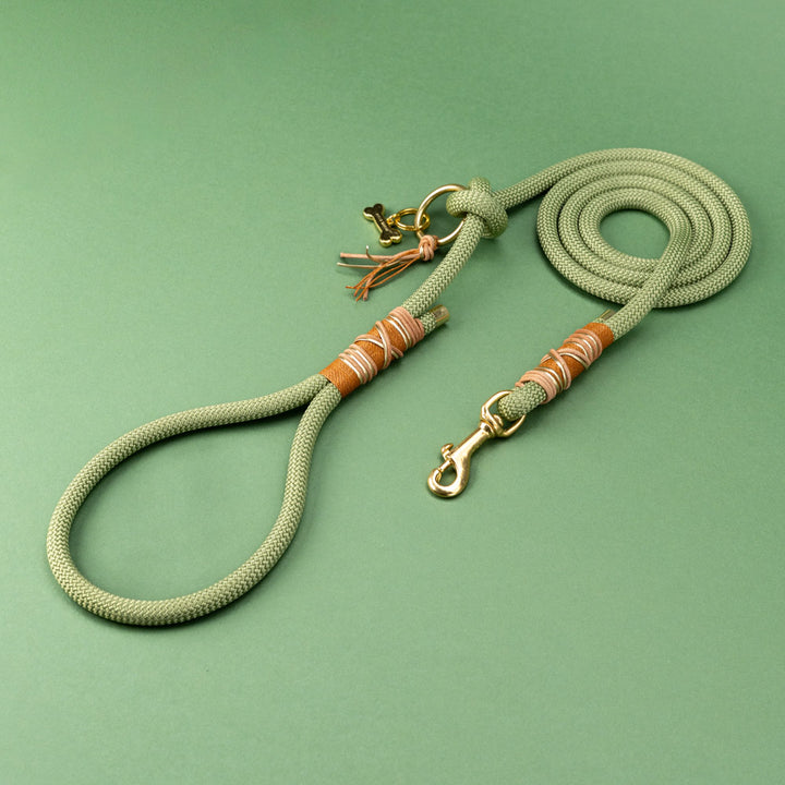 Guacamole dog leash