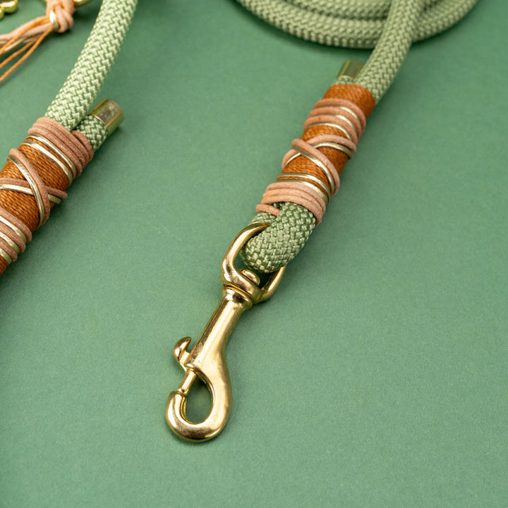 Guacamole dog leash