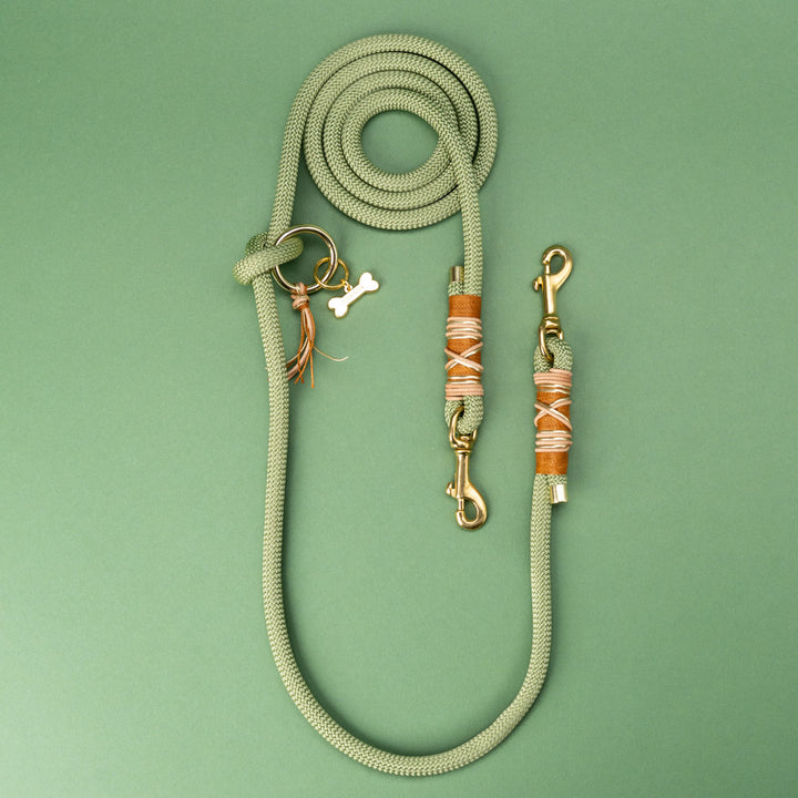 Guacamole dog leash