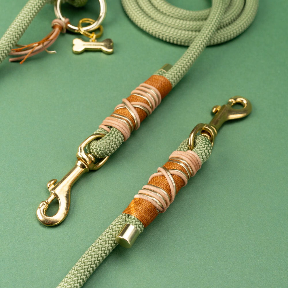 Guacamole dog leash