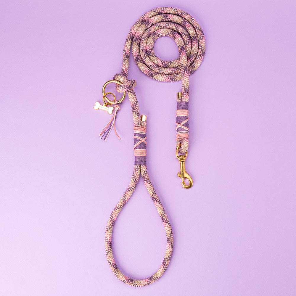 Set Vodítko + Obojek Aussie Maison - Rose Merle – Vodítko Aussie Maison - Rose merle