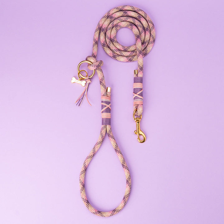 Set Vodítko + Obojek Aussie Maison - Rose Merle – Vodítko Aussie Maison - Rose merle