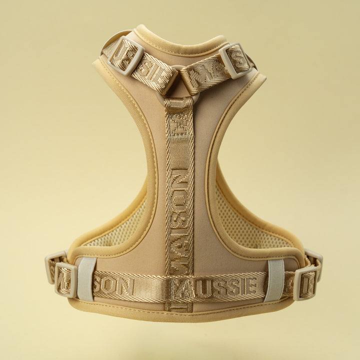 Adventure postroj Blondie