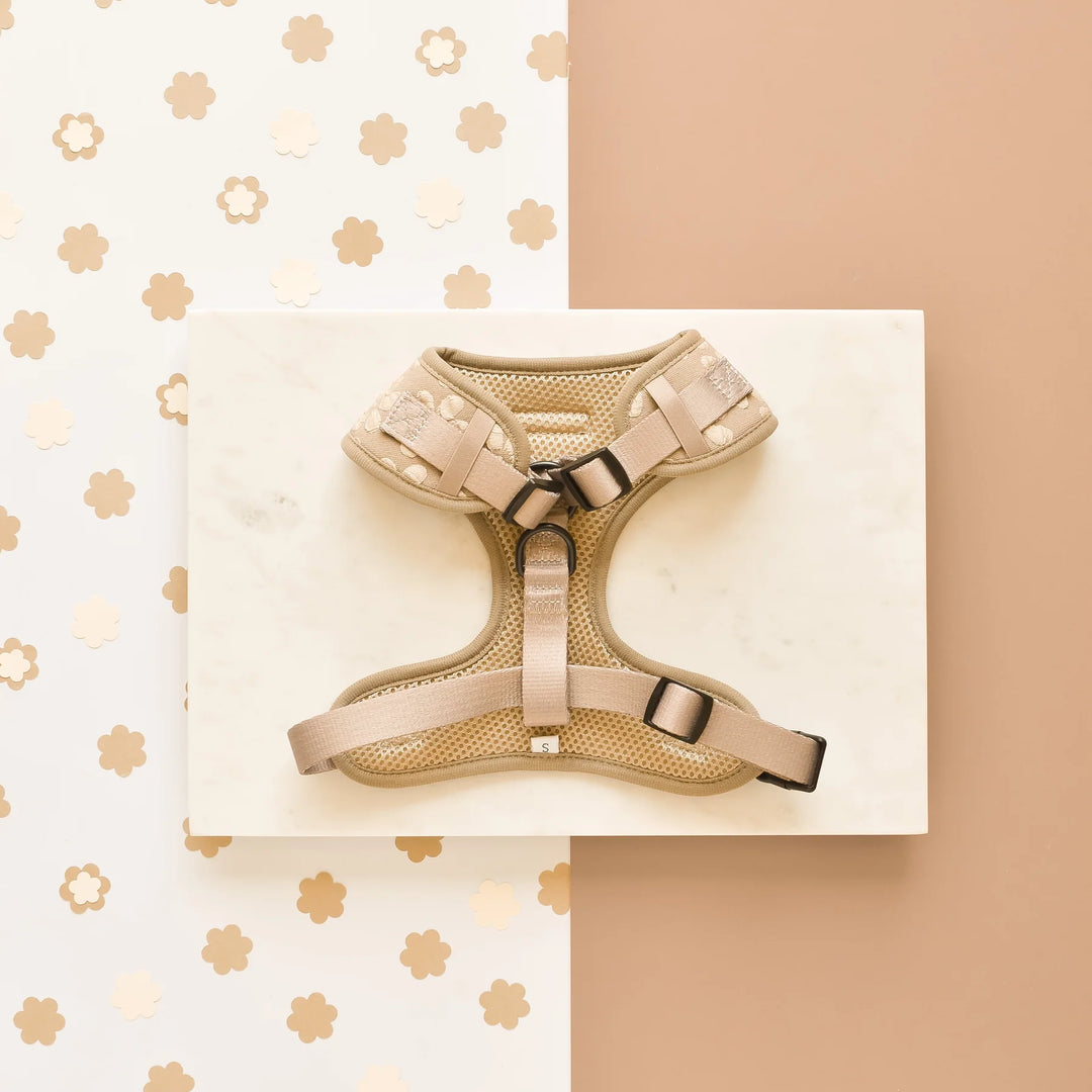 Nastavitelný postroj Cocopup - Mocha Flower LUXE