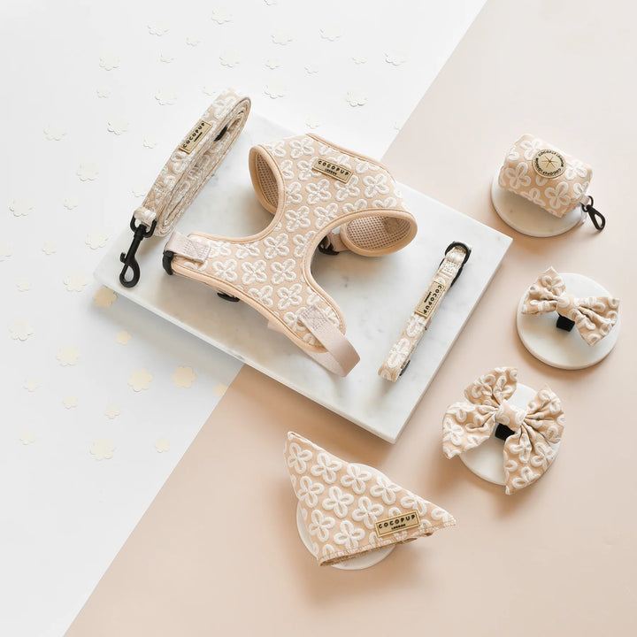 Motýlek Cocopup - Luxe Mocha Flower