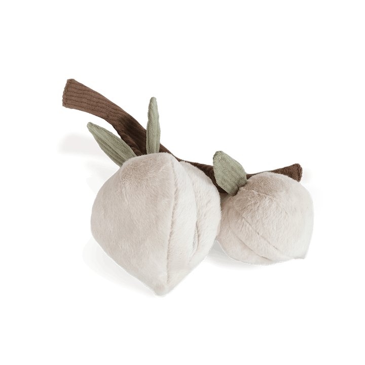 MOMO – čmuchací broskvičky