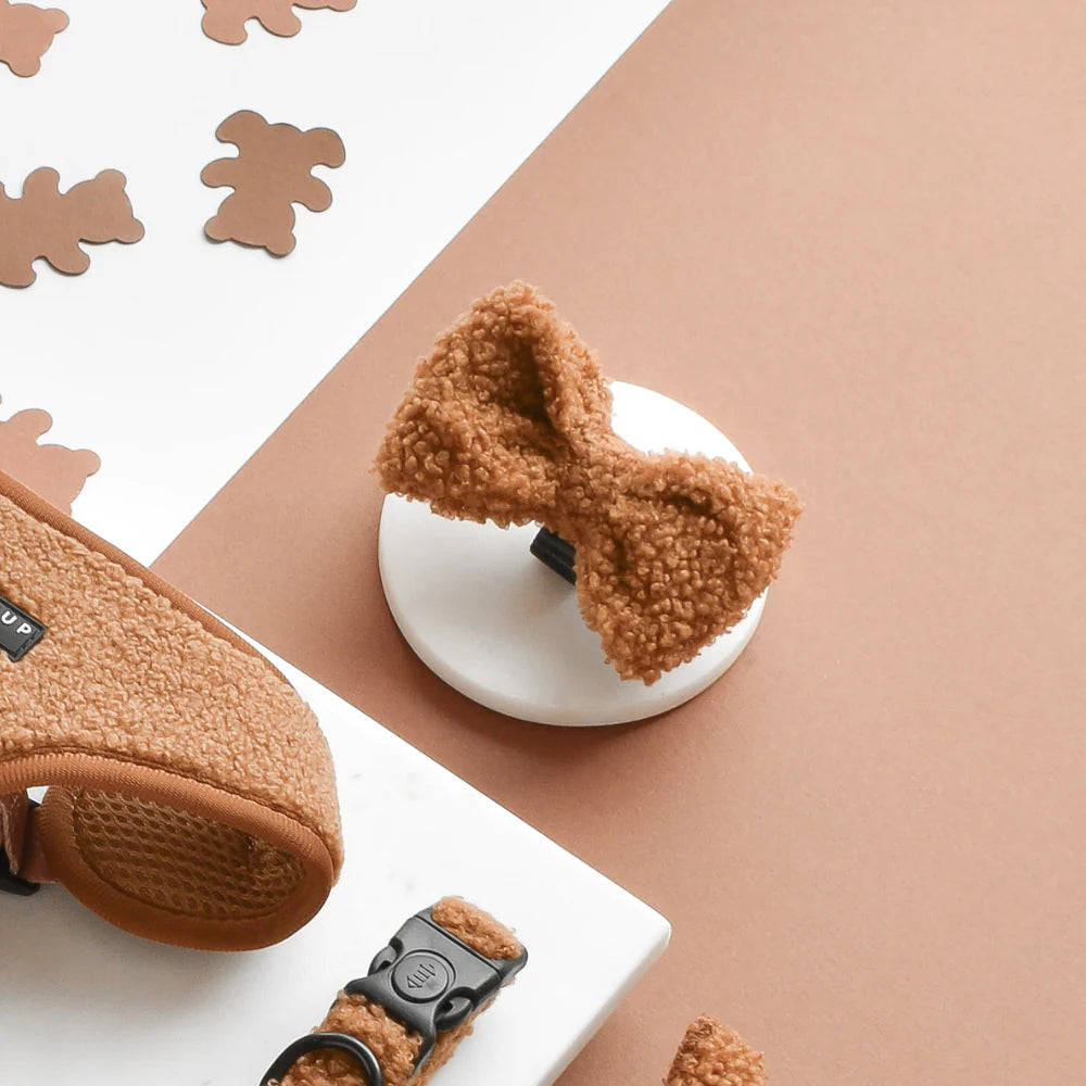 Cocopup Bow Tie - Teddy Paddington 