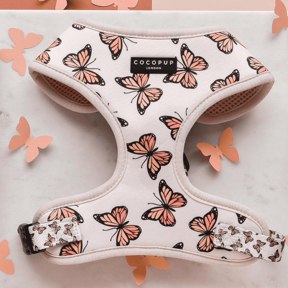 Nastavitelný postroj Cocopup - Boujee Butterfly