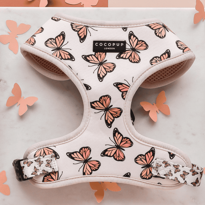 Nastavitelný postroj Cocopup - Boujee Butterfly