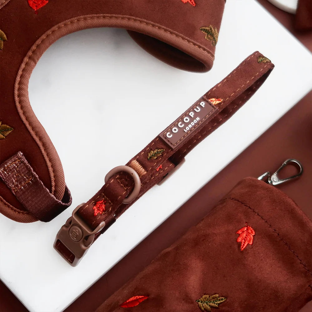 Halsband Cocopup – PAWTISSERIE