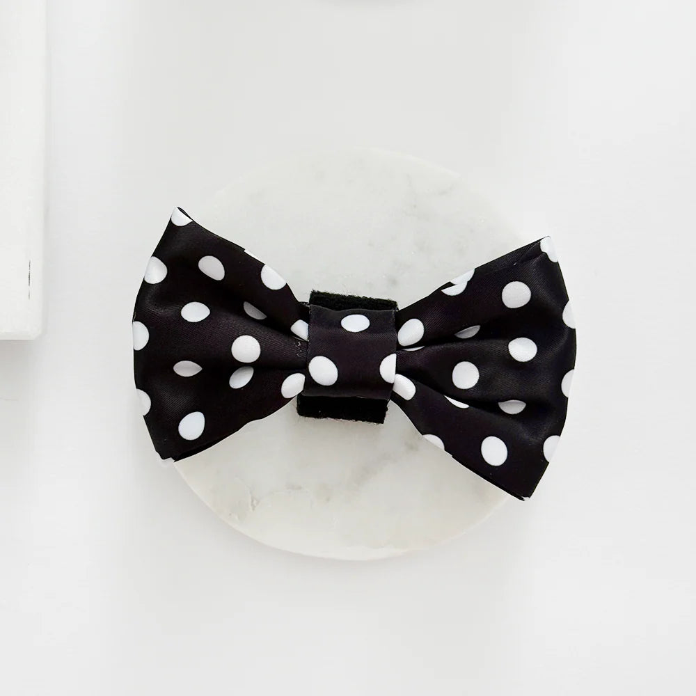 Motýlek Cocopup - Satin Polka Dot