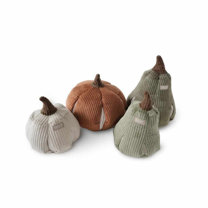 BUTTERNUT – čmuchací dýně