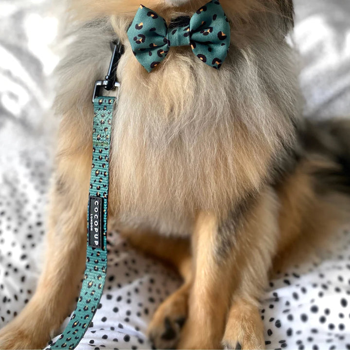 Cocopup Leash - Sage Leopard