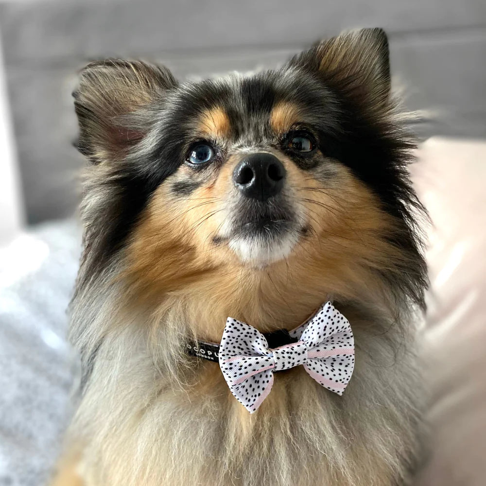 Cocopup Bow Tie - Pink Dalmatian