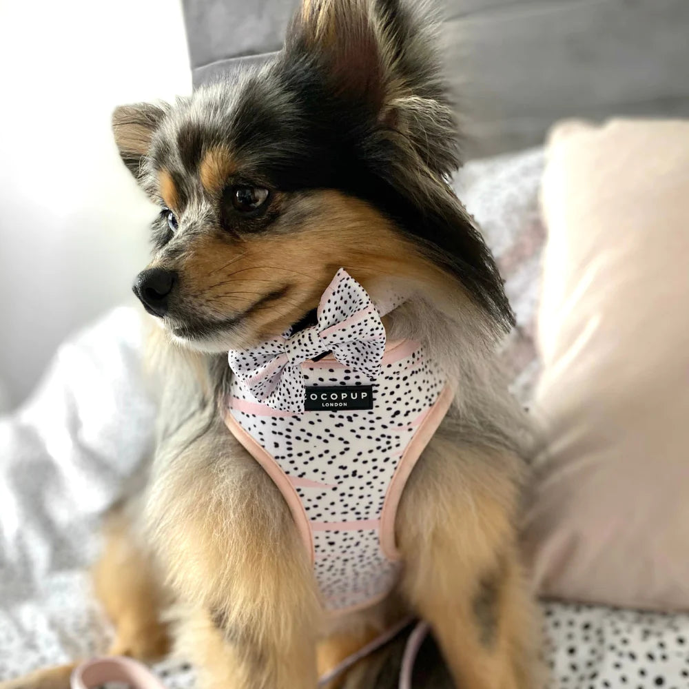 Cocopup Bow Tie - Pink Dalmatian