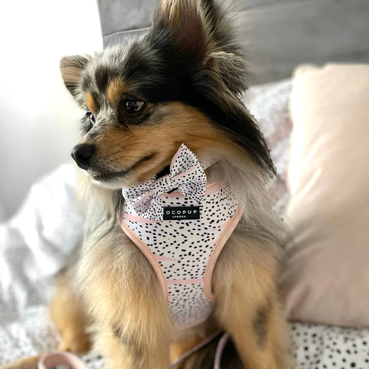 Cocopup Bow Tie - Pink Dalmatian