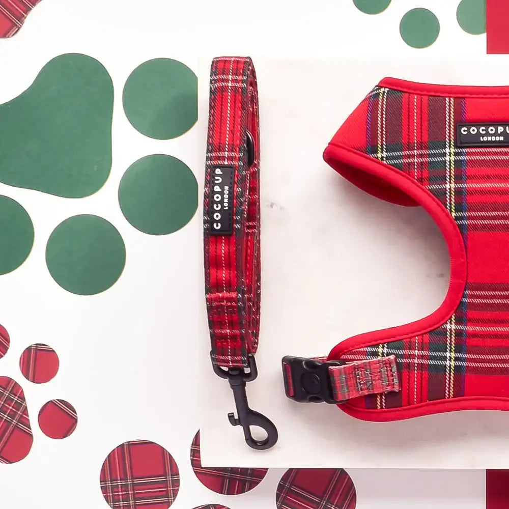 Nastavitelný postroj Cocopup - Tartan