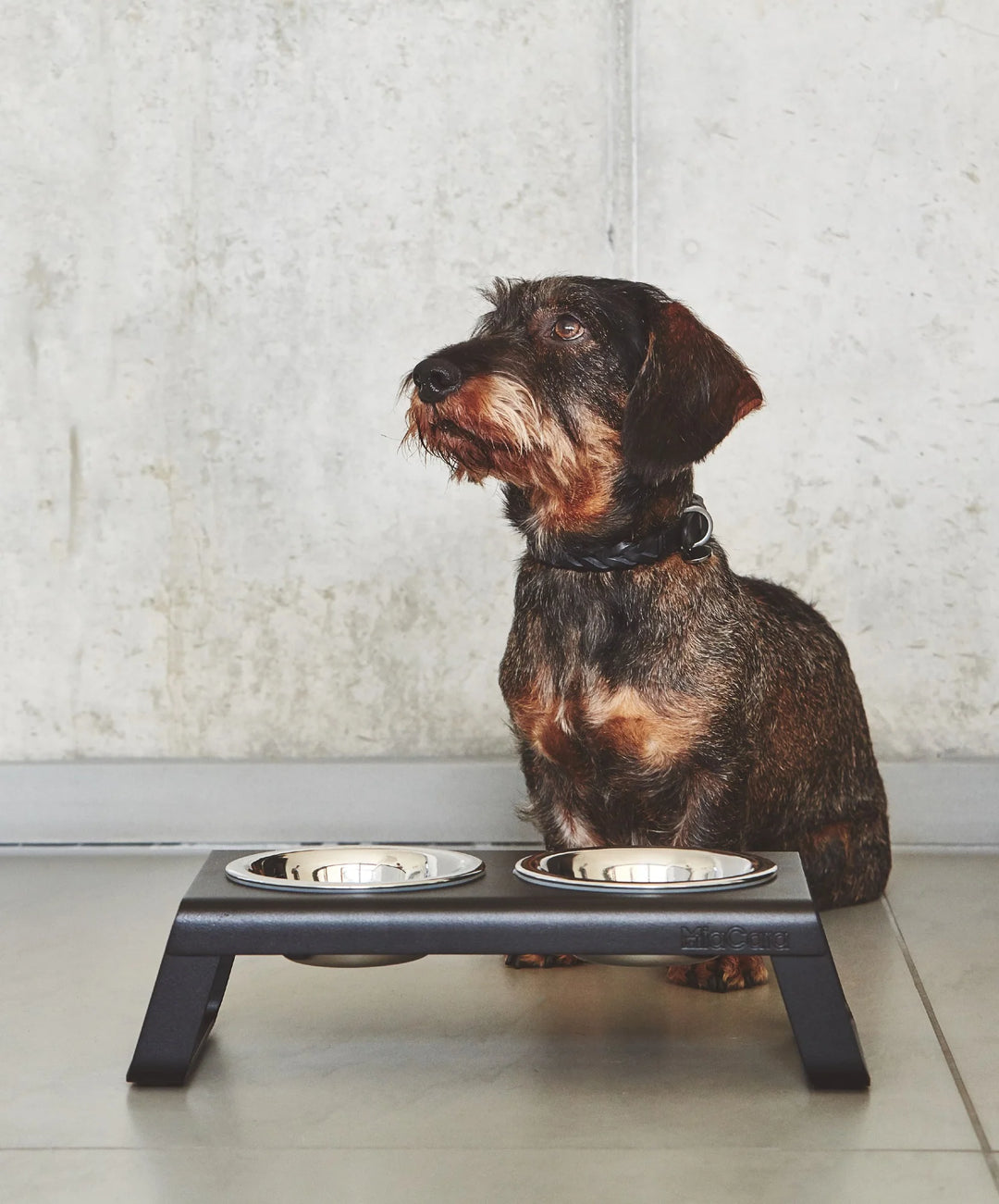 Miacara Desco - Stojan s nerezovými miskami - Černá