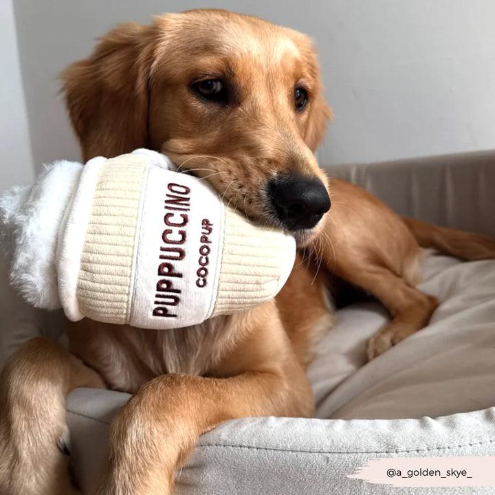 Cocopup hračka Puppuccino