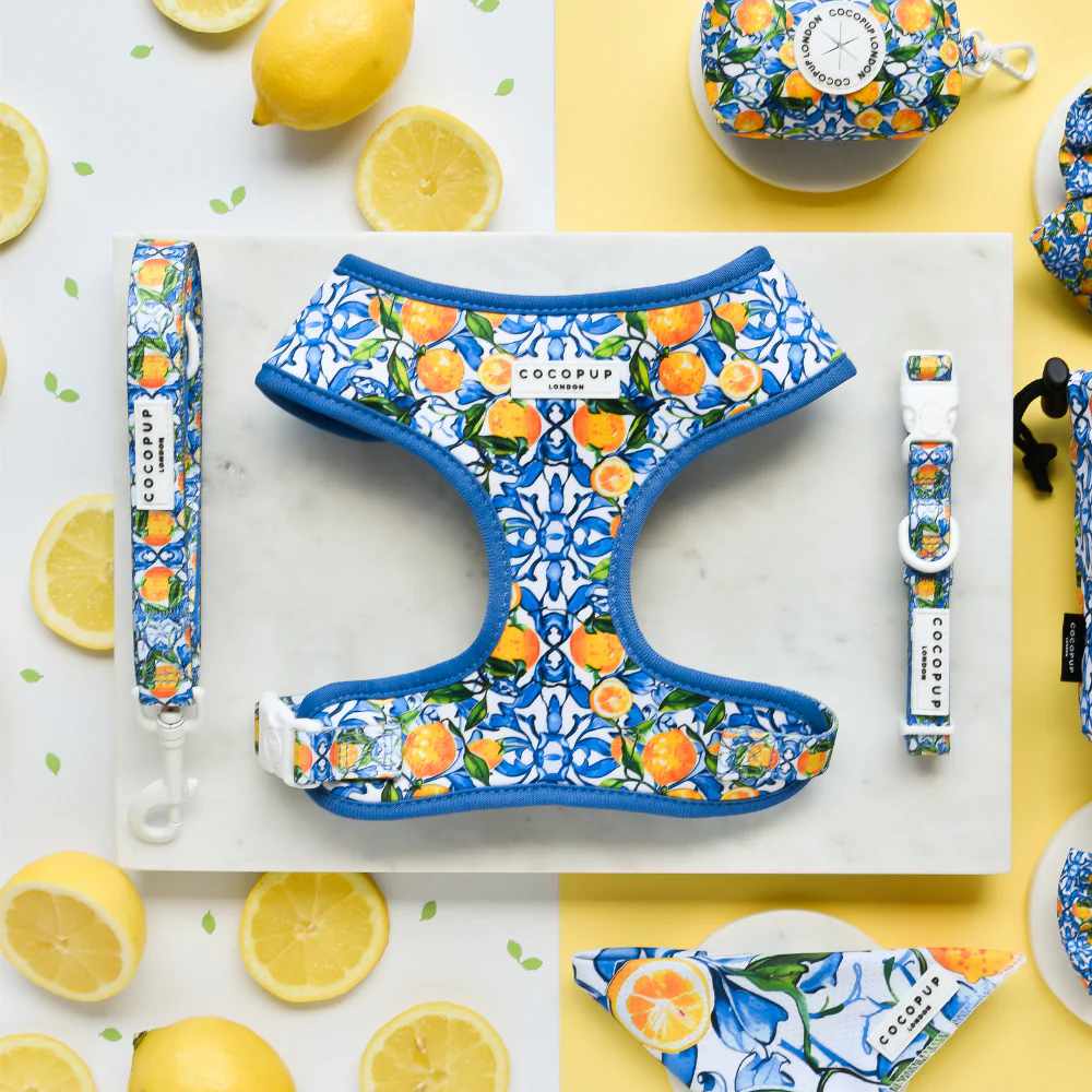 Obojek Cocopup - Amalfi lemon
