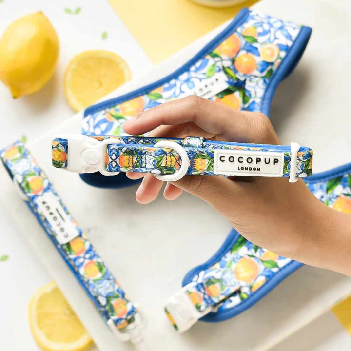 Obojek Cocopup - Amalfi lemon