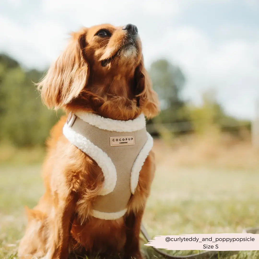 Cocopup Adjustable Harness - Nude Aviator
