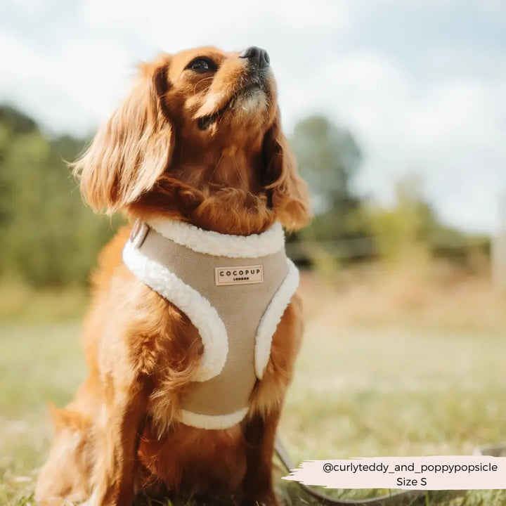 Cocopup Adjustable Harness - Nude Aviator