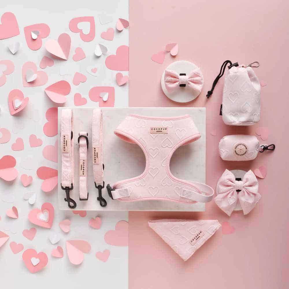 Hundeleine Cocopup – Pink Heart