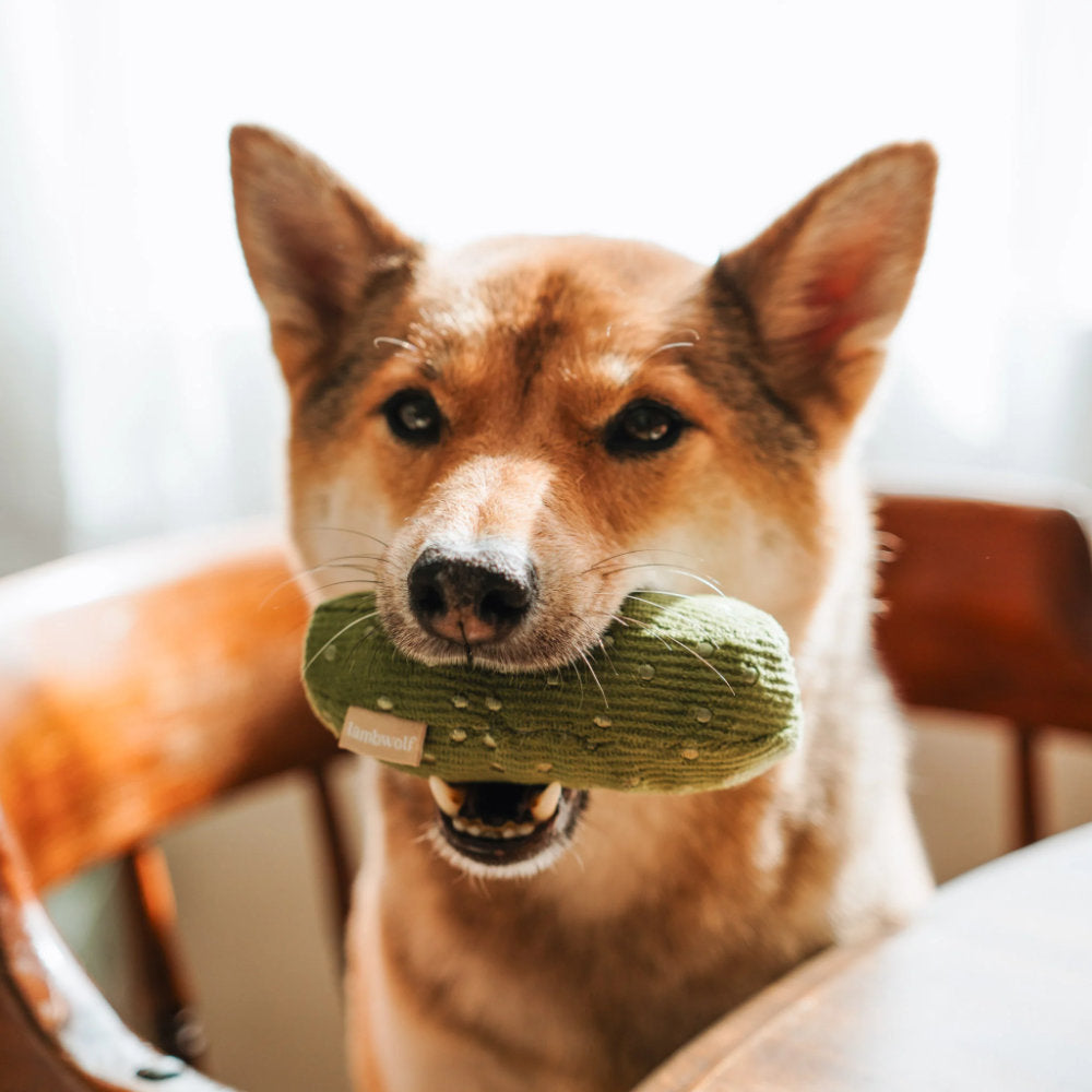BAGEL + PICKLE čmuchací hračka