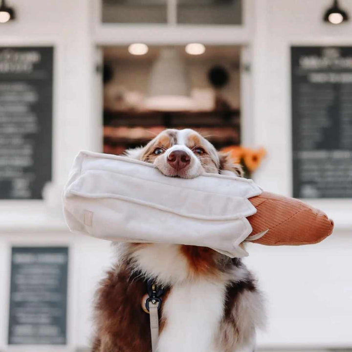 BAGUETTE – plyšová bageta