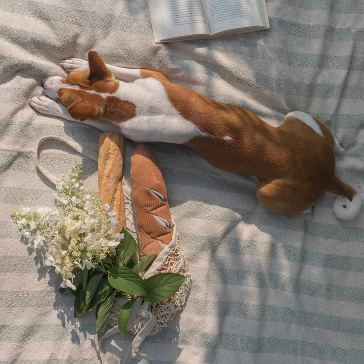 BAGUETTE – plyšová bageta