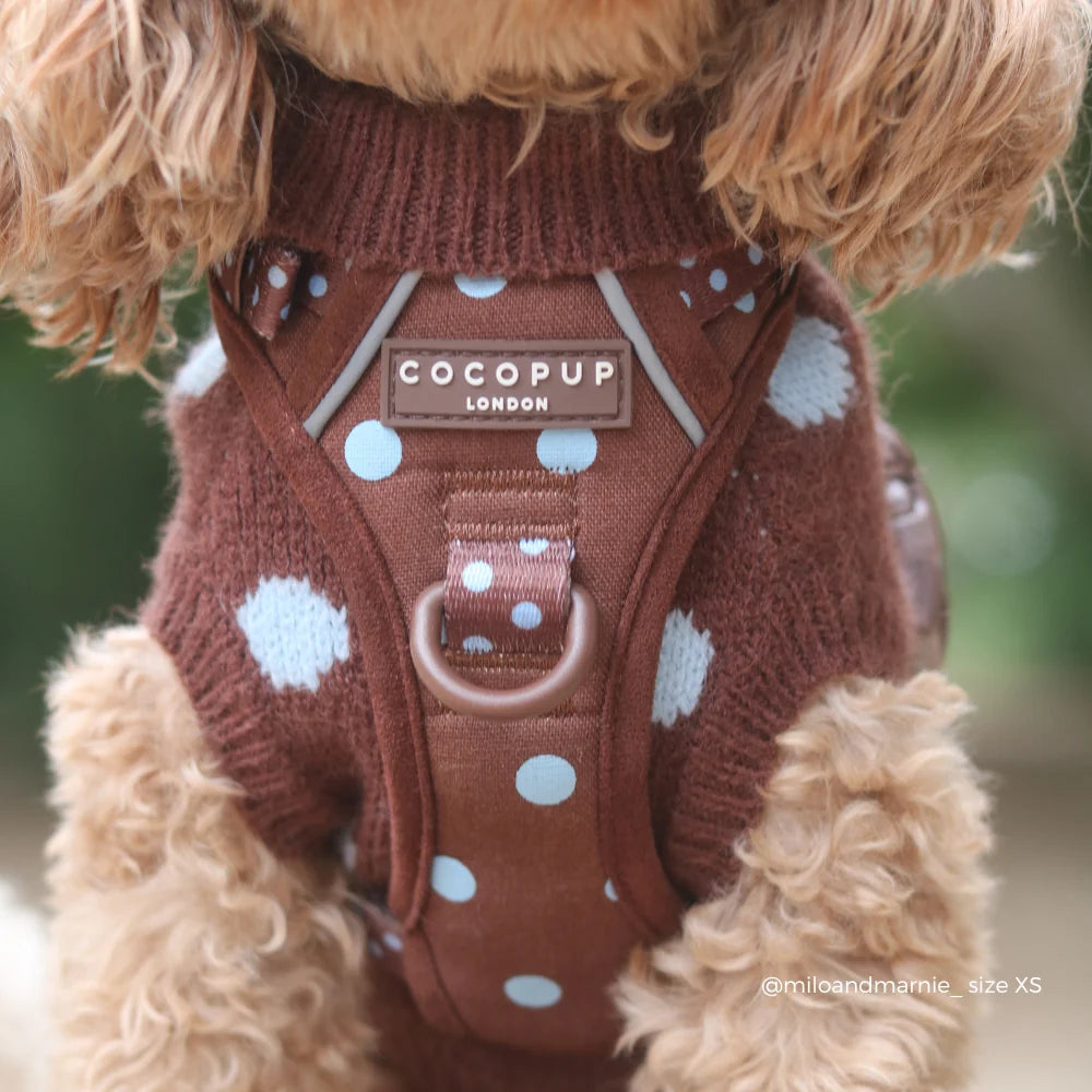 Entdecken Sie das Cocopup Geschirr - Mocha Flower