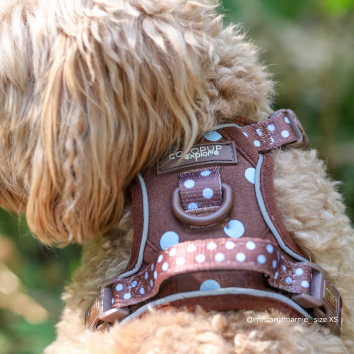 Entdecken Sie das Cocopup Geschirr - Mocha Flower