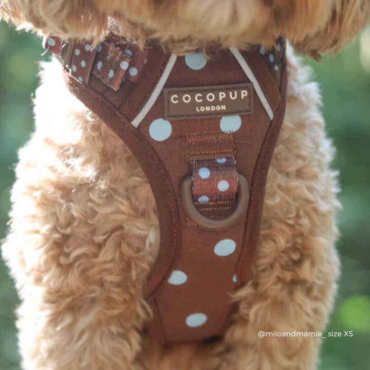 Entdecken Sie das Cocopup Geschirr - Mocha Flower