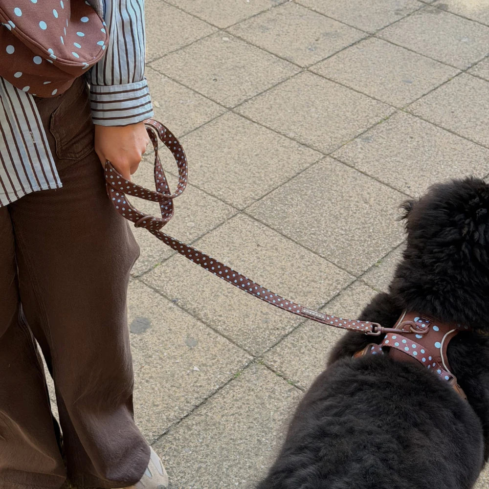 Hundeleine Cocopup - Cotswold Check