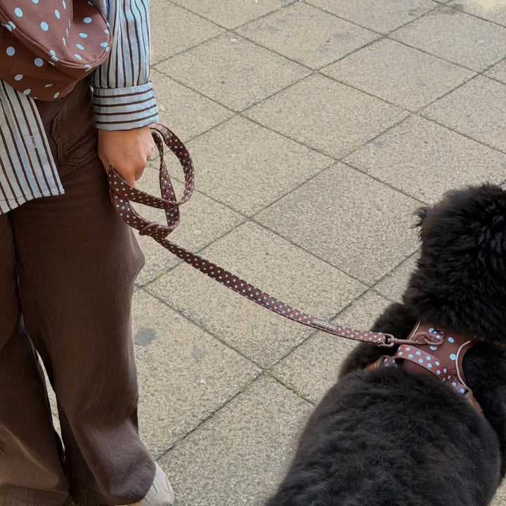 Hundeleine Cocopup - Cotswold Check