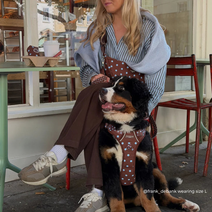 Leckerlibeutel CocoPup – Crossbody – COTSWOLD CHECK