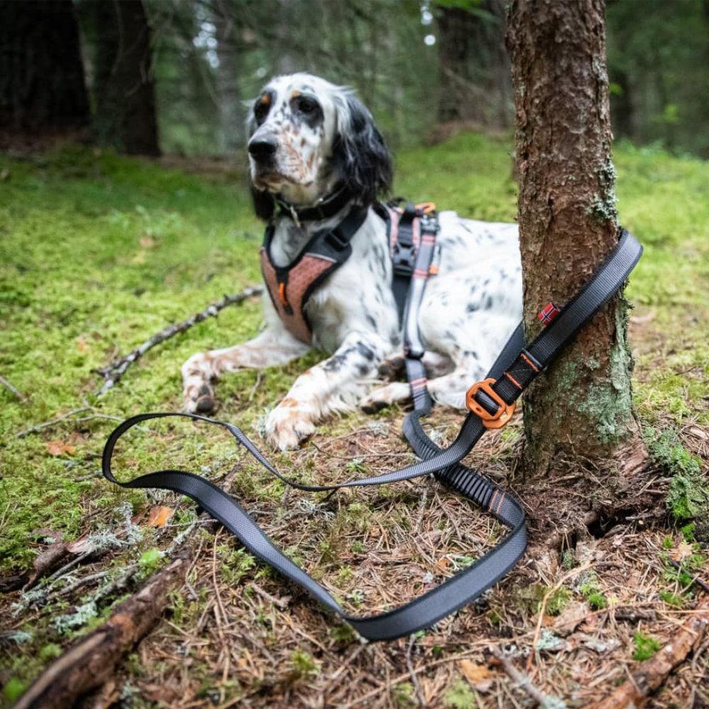 Touring Bungee Leash