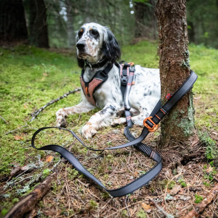 Touring Bungee Leash