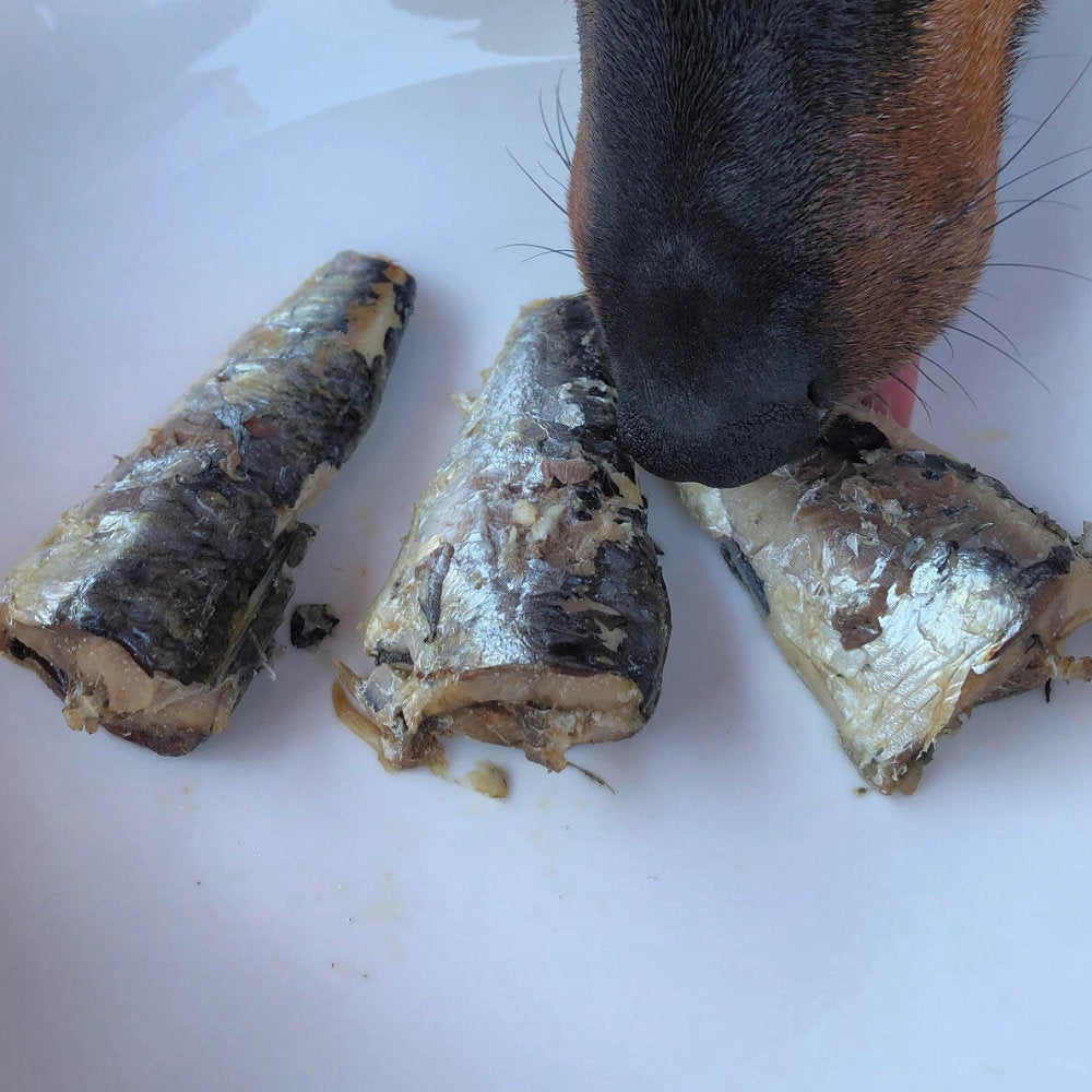 Canumi – Sardinky 170g