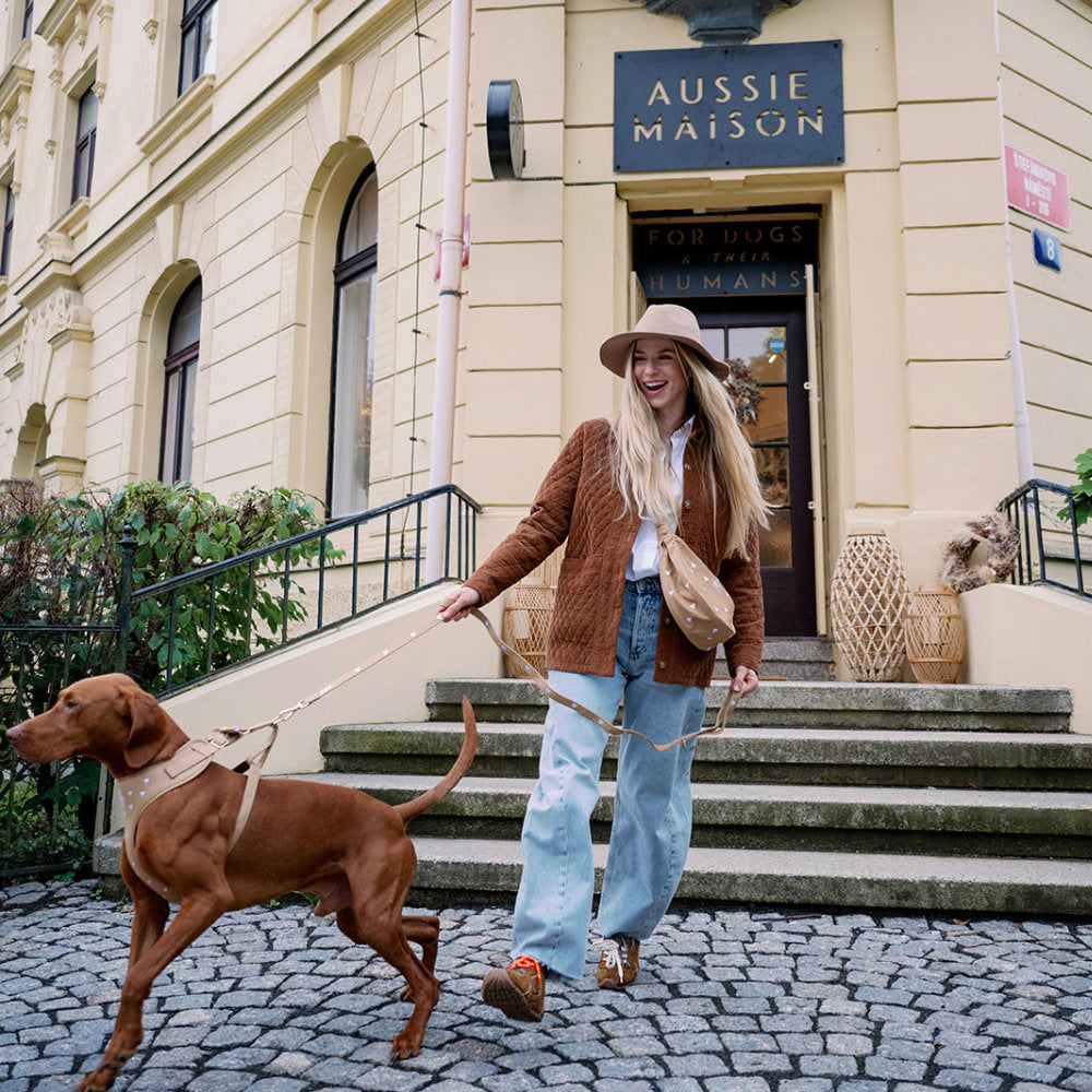 Aussie Maison Leine - Graphit Bouclé