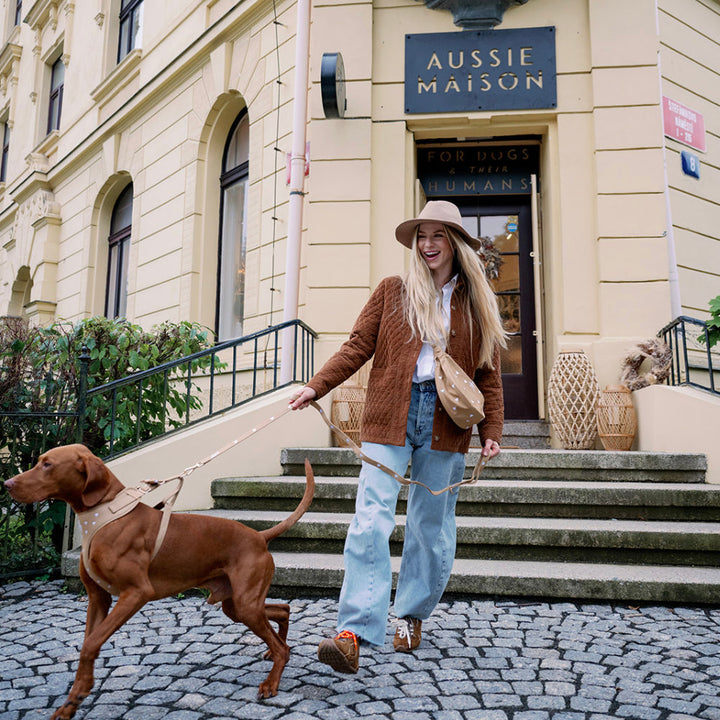 Aussie Maison Leine - Graphit Bouclé