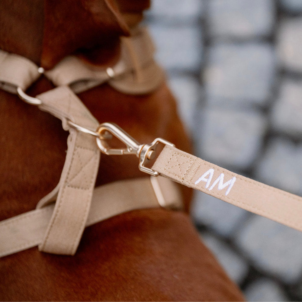 Aussie Maison Leine - Graphit Bouclé