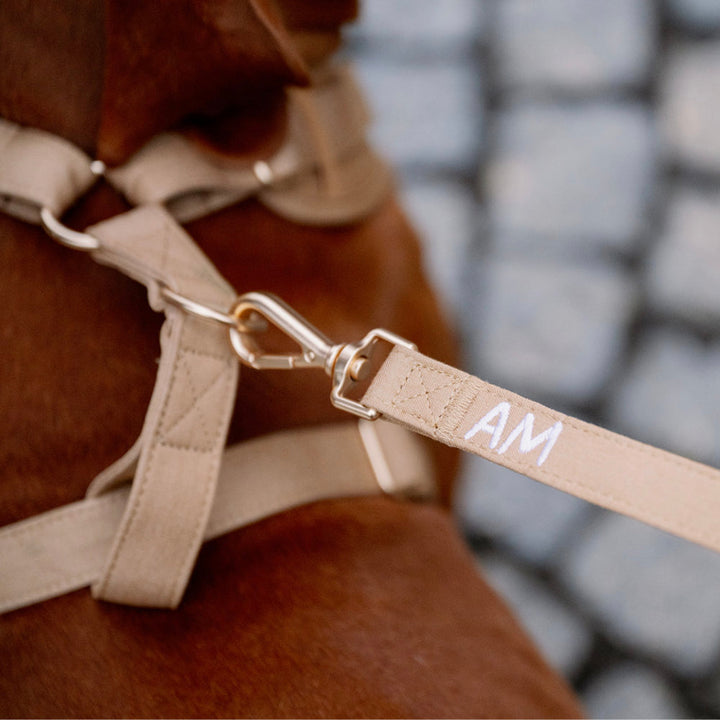 Aussie Maison Leine - Graphit Bouclé
