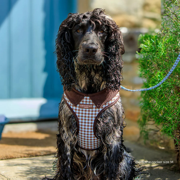 Verstellbares Cocopup Geschirr – Cotswold Check