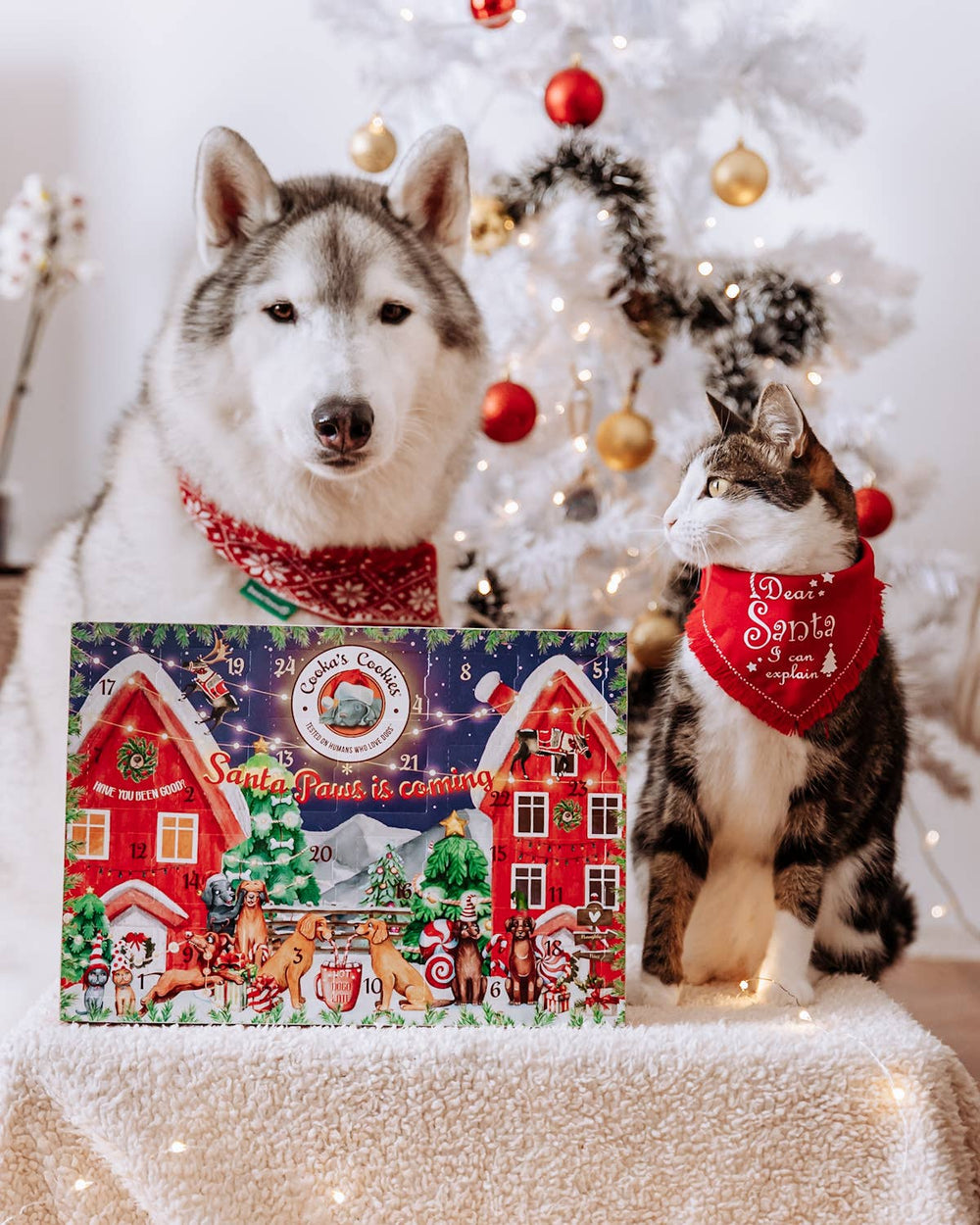 Adventní kalendář pro psy Cooka’s Cookies pod vánočním stromkem s huskym a kočkou