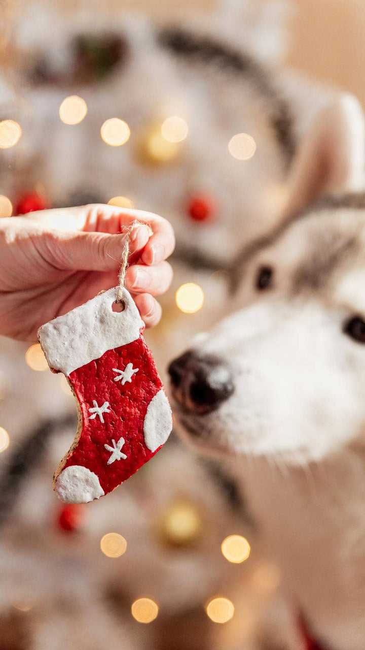 Husky a jedlá ozdoba ve tvaru ponožky